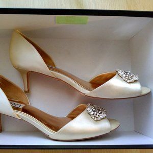 Badgley Mischka Women's Petrina Dress Pump, Ivory (Size 8)
